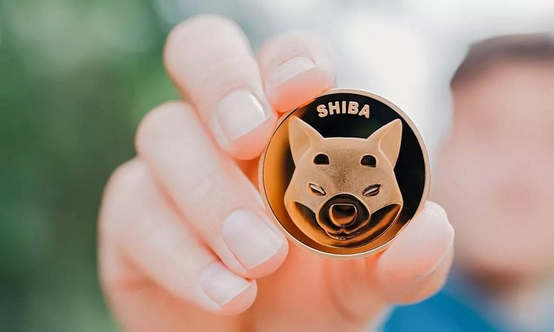 Đồng Shiba Inu là gì? Có nên đầu tư vào Shiba Inu không?