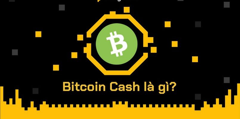 Bitcoin Cash là gì? Thông tin cơ bản cần biết về Bitcoin Cash